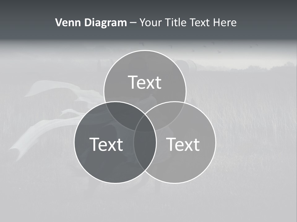 Portrait Horse Forest PowerPoint Template