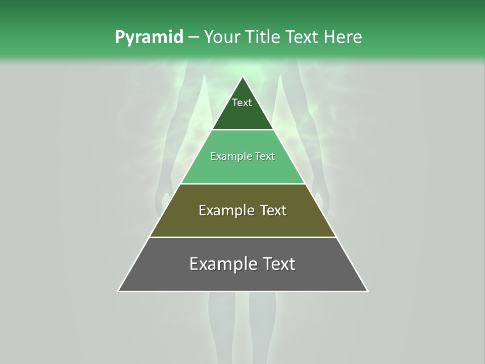 Body Evolution Creation PowerPoint Template