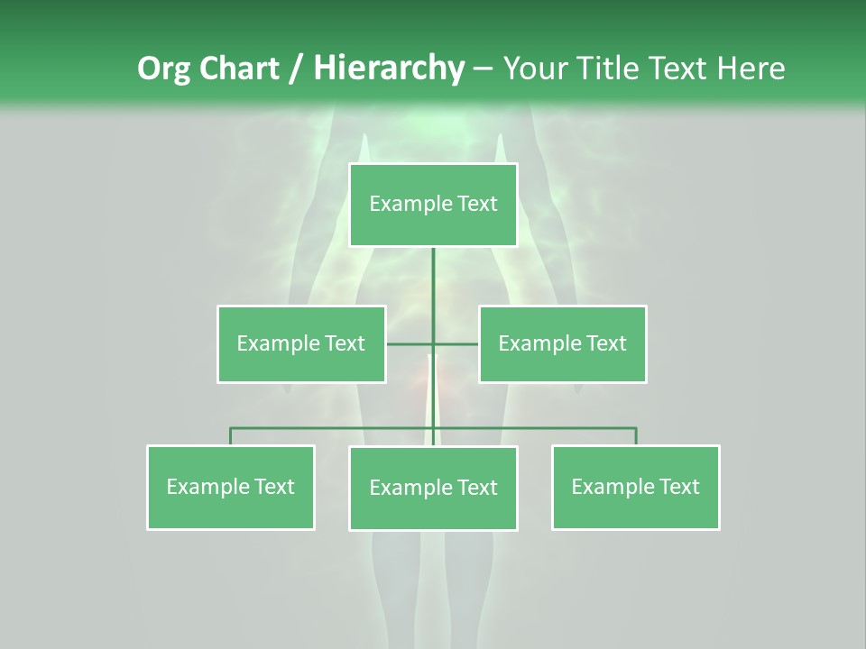 Body Evolution Creation PowerPoint Template