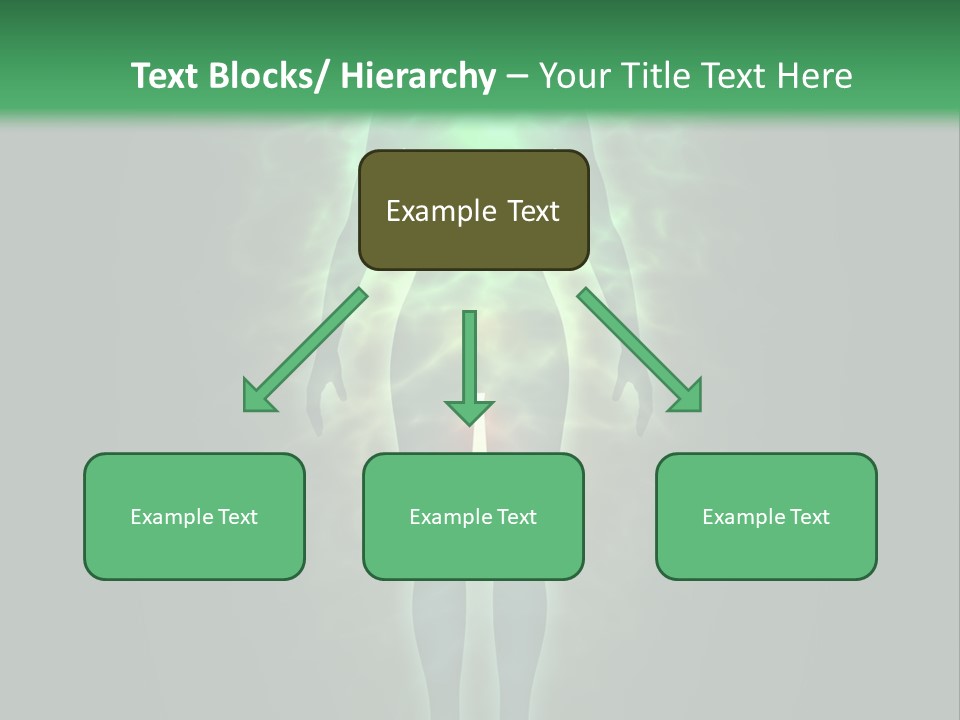 Body Evolution Creation PowerPoint Template