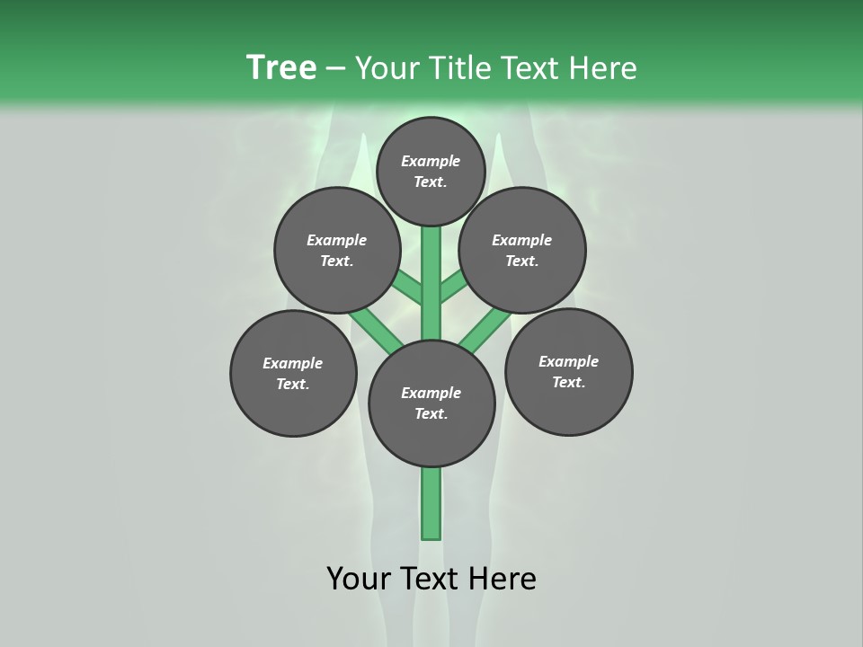 Body Evolution Creation PowerPoint Template