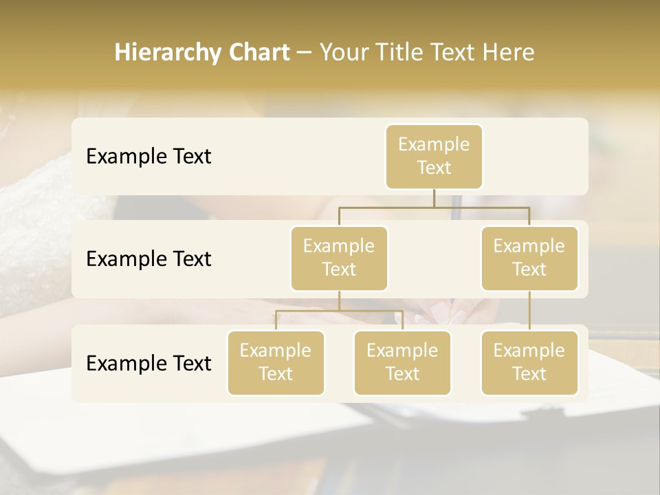 Hair  Signature PowerPoint Template