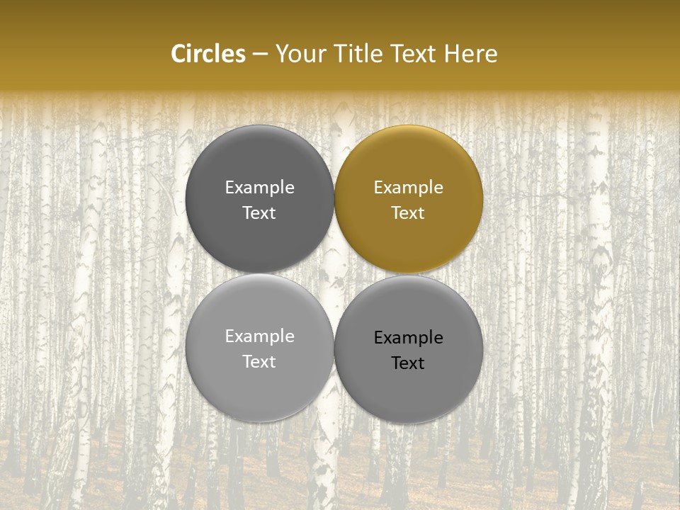 Branch Landscape Still PowerPoint Template