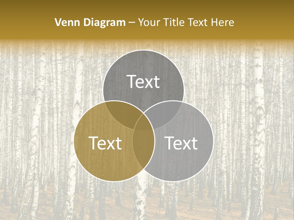 Branch Landscape Still PowerPoint Template