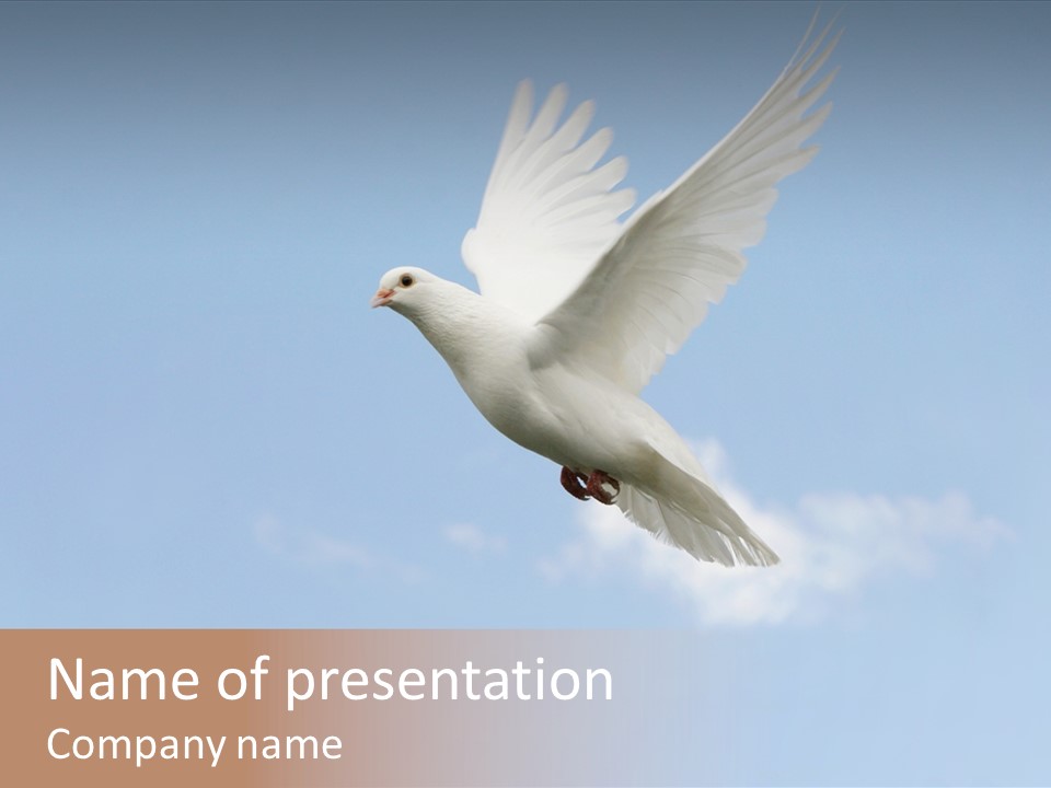 Dove Blue White PowerPoint Template