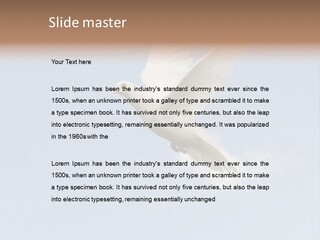Dove Blue White PowerPoint Template