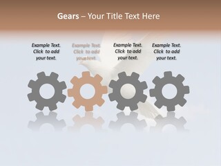 Dove Blue White PowerPoint Template