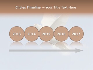 Dove Blue White PowerPoint Template