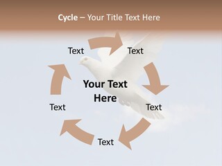 Dove Blue White PowerPoint Template