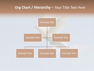Dove Blue White PowerPoint Template