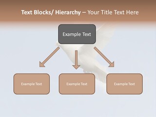 Dove Blue White PowerPoint Template