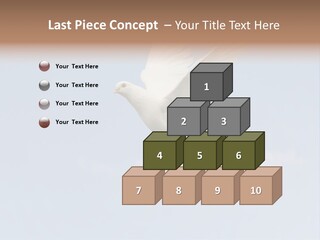 Dove Blue White PowerPoint Template