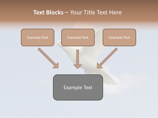 Dove Blue White PowerPoint Template