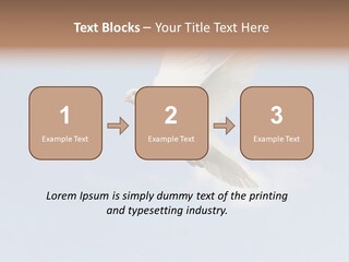 Dove Blue White PowerPoint Template