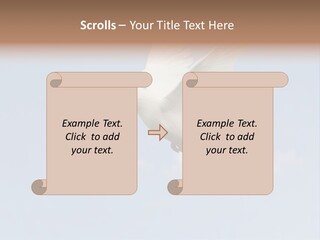Dove Blue White PowerPoint Template