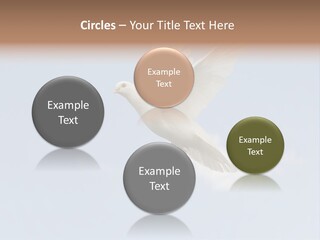 Dove Blue White PowerPoint Template