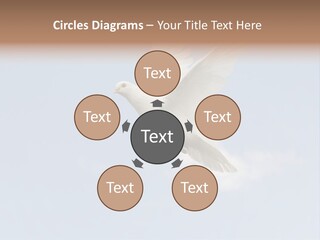 Dove Blue White PowerPoint Template