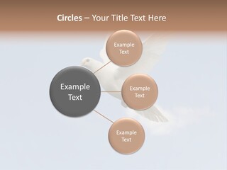 Dove Blue White PowerPoint Template
