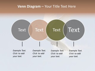 Dove Blue White PowerPoint Template