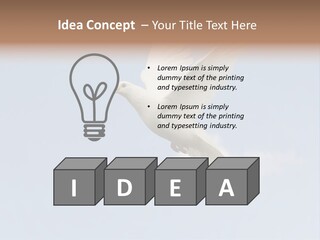 Dove Blue White PowerPoint Template