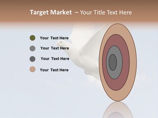 Dove Blue White PowerPoint Template