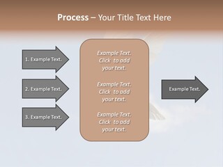 Dove Blue White PowerPoint Template