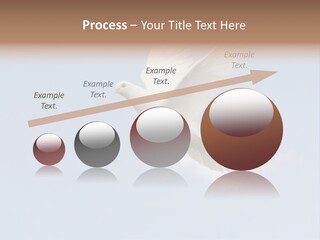 Dove Blue White PowerPoint Template