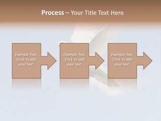 Dove Blue White PowerPoint Template