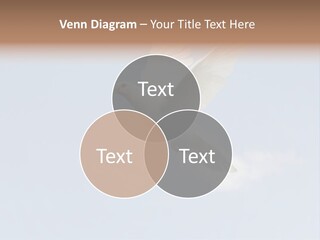 Dove Blue White PowerPoint Template
