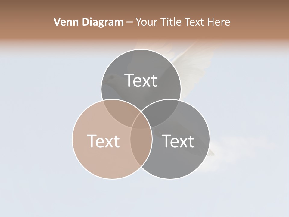 Dove Blue White PowerPoint Template