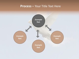 Dove Blue White PowerPoint Template