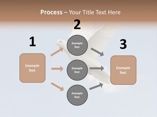 Dove Blue White PowerPoint Template