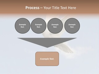 Dove Blue White PowerPoint Template