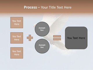 Dove Blue White PowerPoint Template