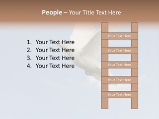 Dove Blue White PowerPoint Template