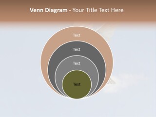 Dove Blue White PowerPoint Template