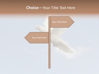 Dove Blue White PowerPoint Template