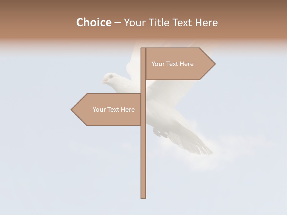 Dove Blue White PowerPoint Template