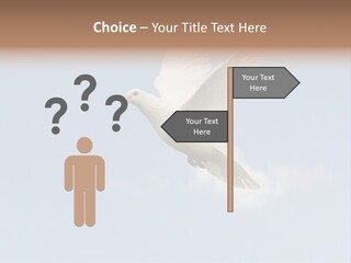 Dove Blue White PowerPoint Template