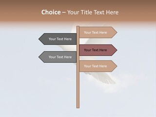 Dove Blue White PowerPoint Template