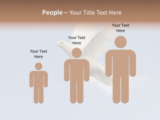 Dove Blue White PowerPoint Template