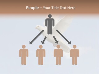 Dove Blue White PowerPoint Template