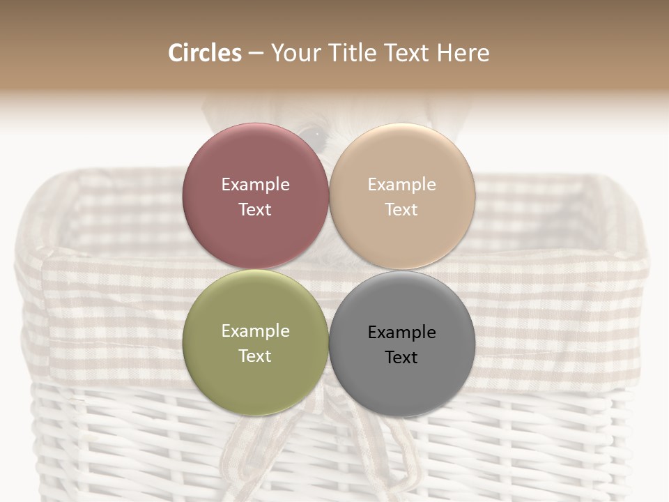 Lonely Portrait Domestic PowerPoint Template