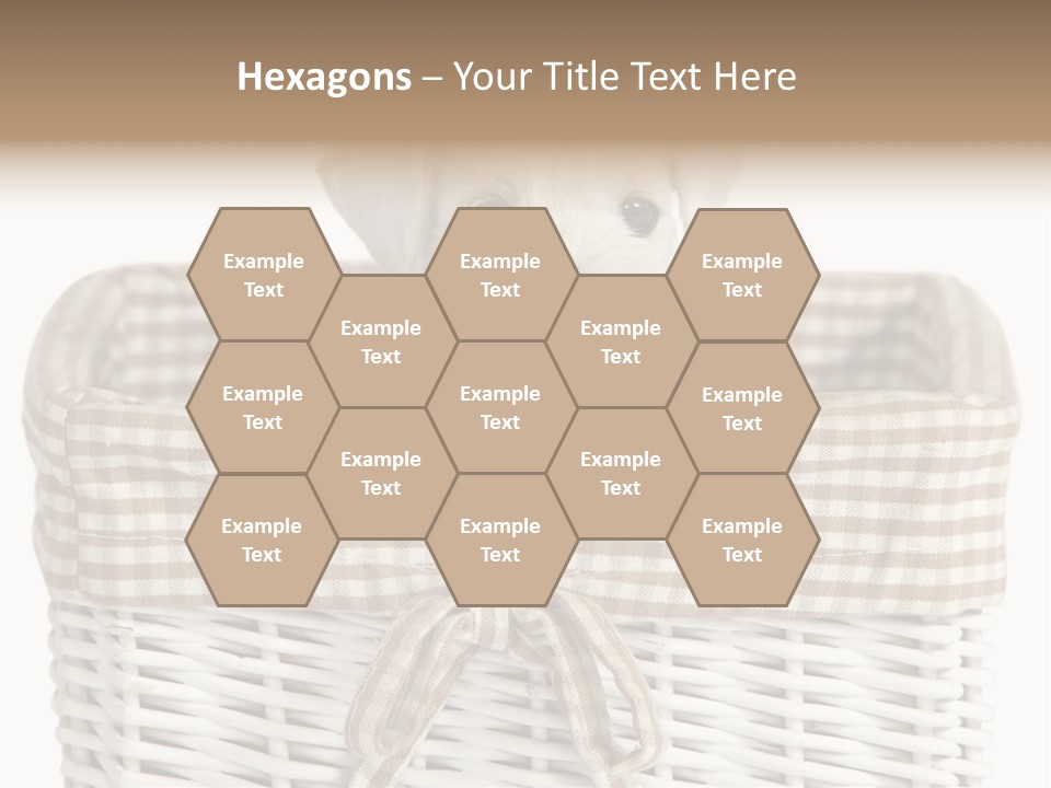 Lonely Portrait Domestic PowerPoint Template