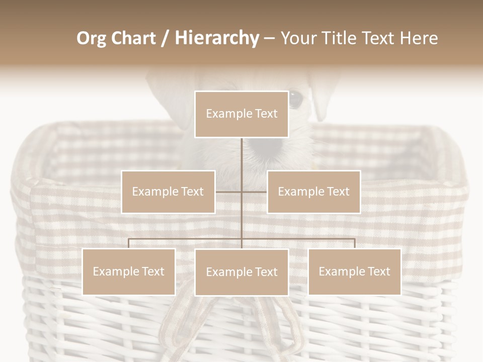 Lonely Portrait Domestic PowerPoint Template