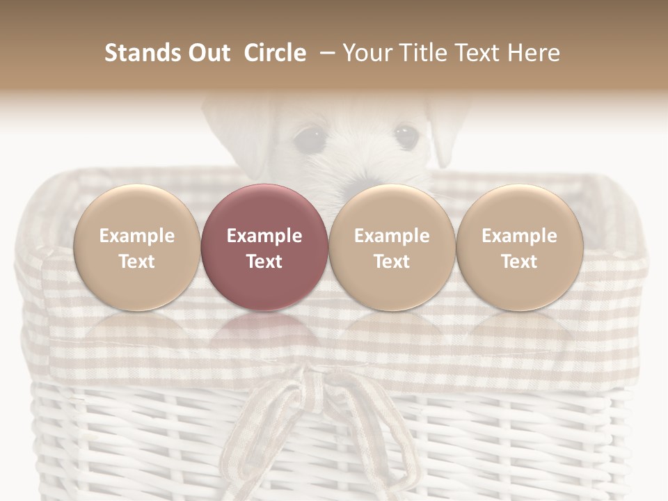 Lonely Portrait Domestic PowerPoint Template