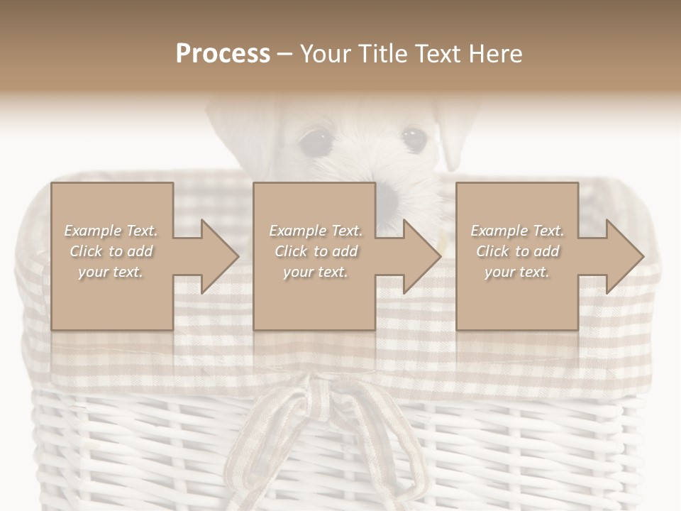 Lonely Portrait Domestic PowerPoint Template