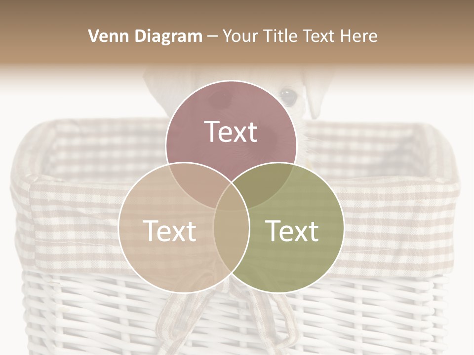 Lonely Portrait Domestic PowerPoint Template