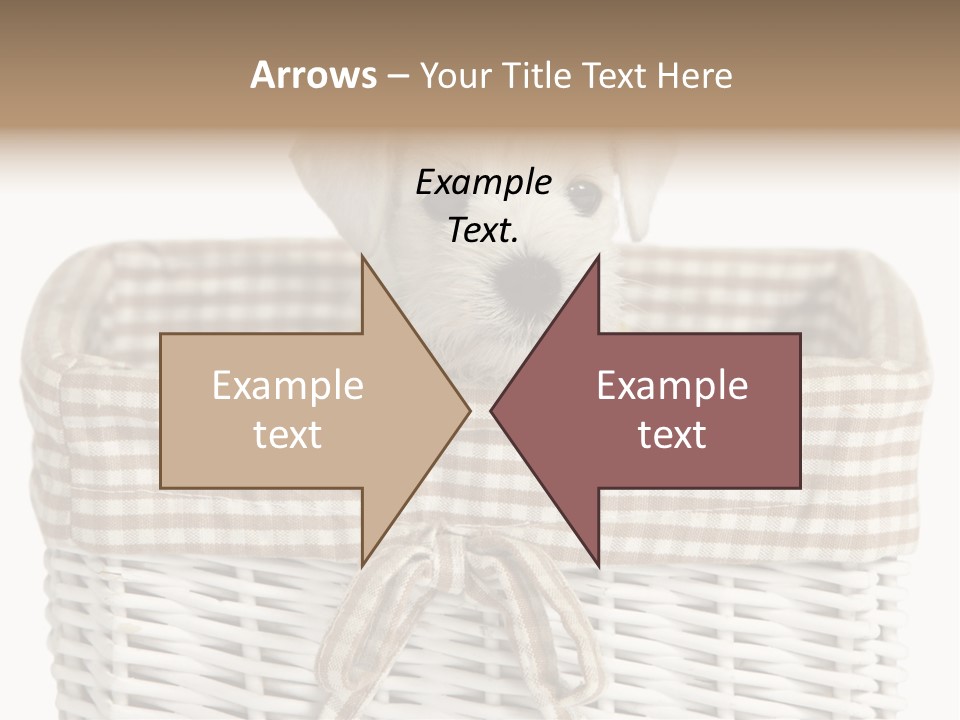 Lonely Portrait Domestic PowerPoint Template