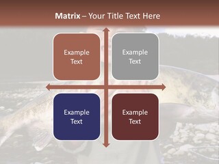 Salmon Smile Summer PowerPoint Template